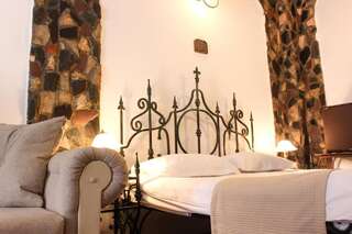 Отель Hunter Prince Castle & Dracula Hotel Турда Стандартный двухместный номер с 1 кроватью-9